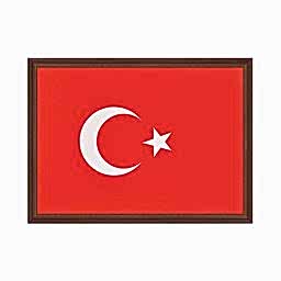 Türk Bayrağı Ahşap Çerçeve 35x50 cm PAN 407 resmi