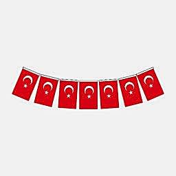 Vatan VT809 Türk Bayrağı Kağıt İpli Büyük 11x18 cm 40'lı